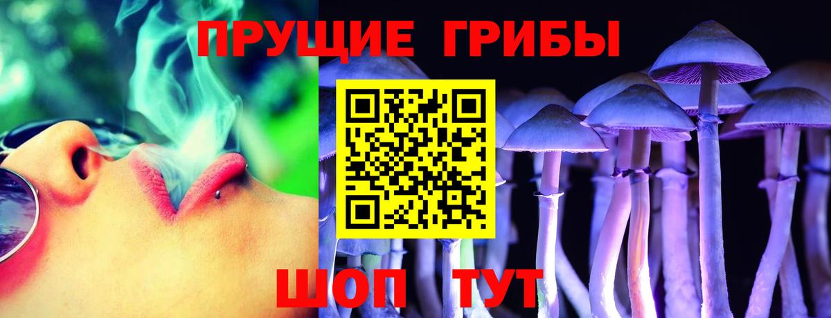 Галлюциногенные грибы Psilocybe  Вход с VPN  Котельники 